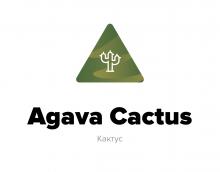 Spectrum - Agava Cactus - 40 г