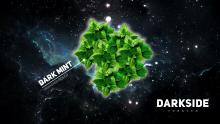 Dark Side Base 100г - Dark Mint
