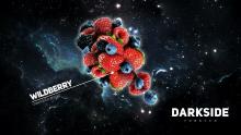 Dark Side Core 250 г - Wildberry