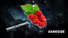 Dark Side Core 100 г - Generis Raspberry
