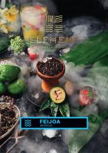 Табак для кальяна Элемент Вода (Element) 100 г - Feijoa