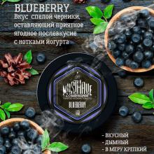 Must Have 25 g - Blueberry