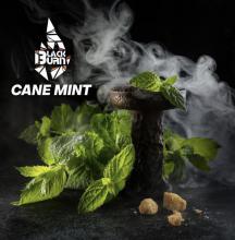 BlackBurn 25 г - Cane Mint